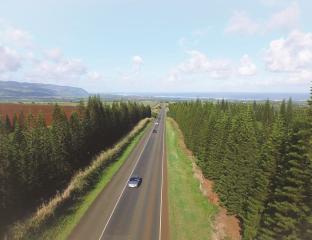 Road to Haleiwa