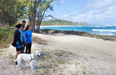 Pono Hike