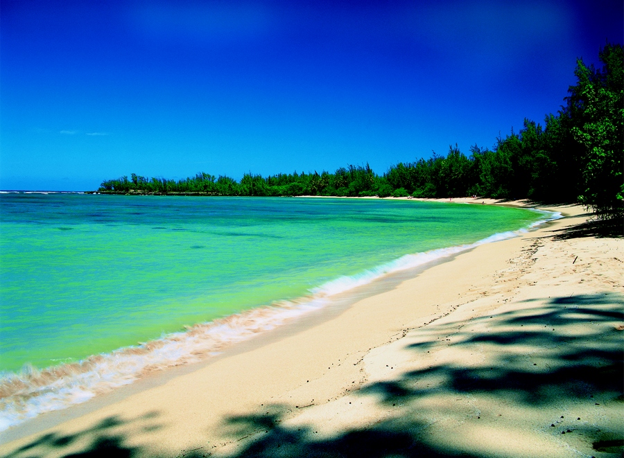 A secluded white sandy beach.