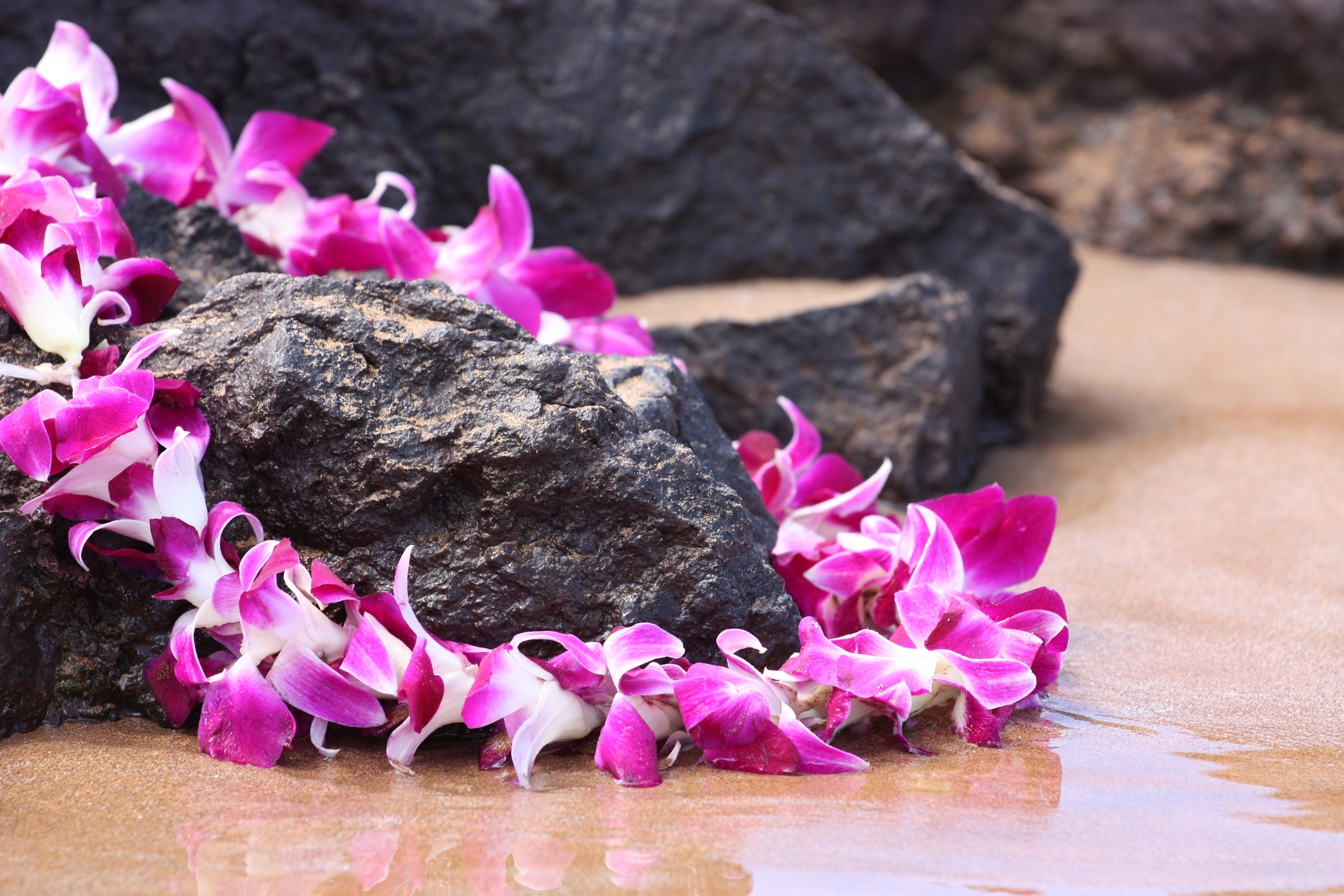 Lei