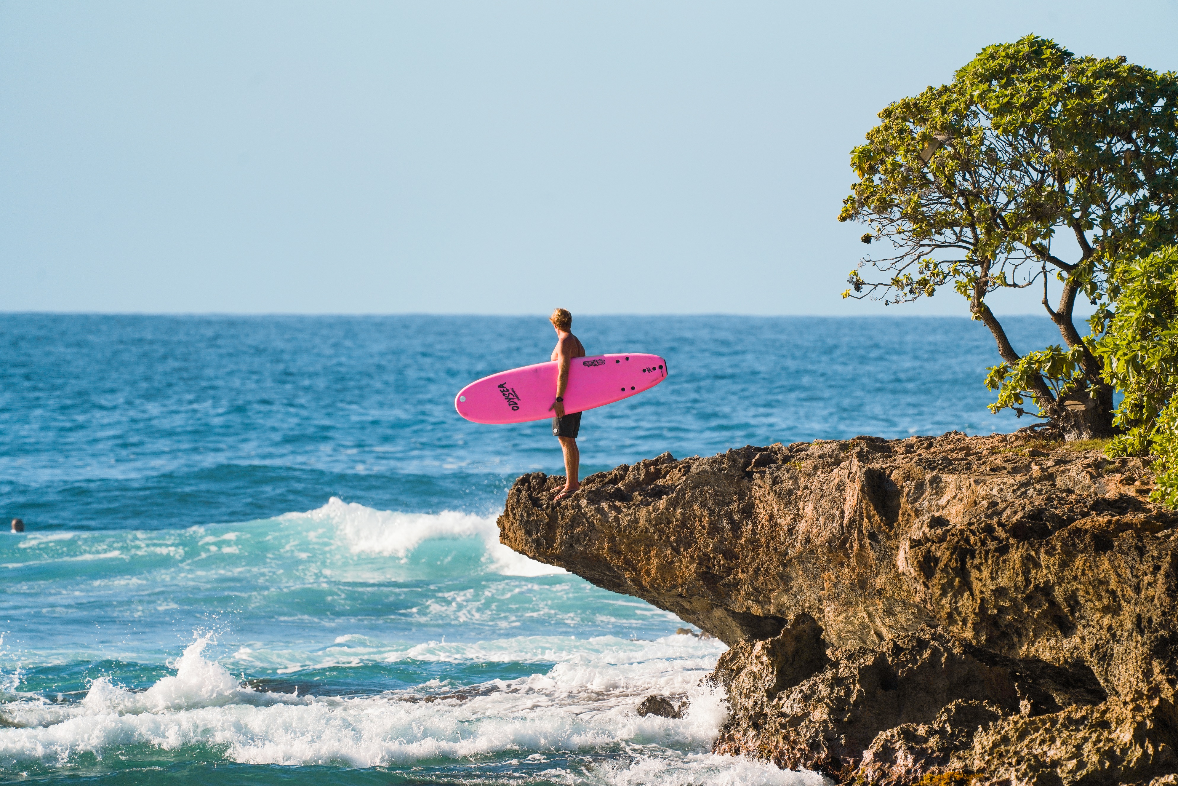 Jamie O'Brien Surf Experience