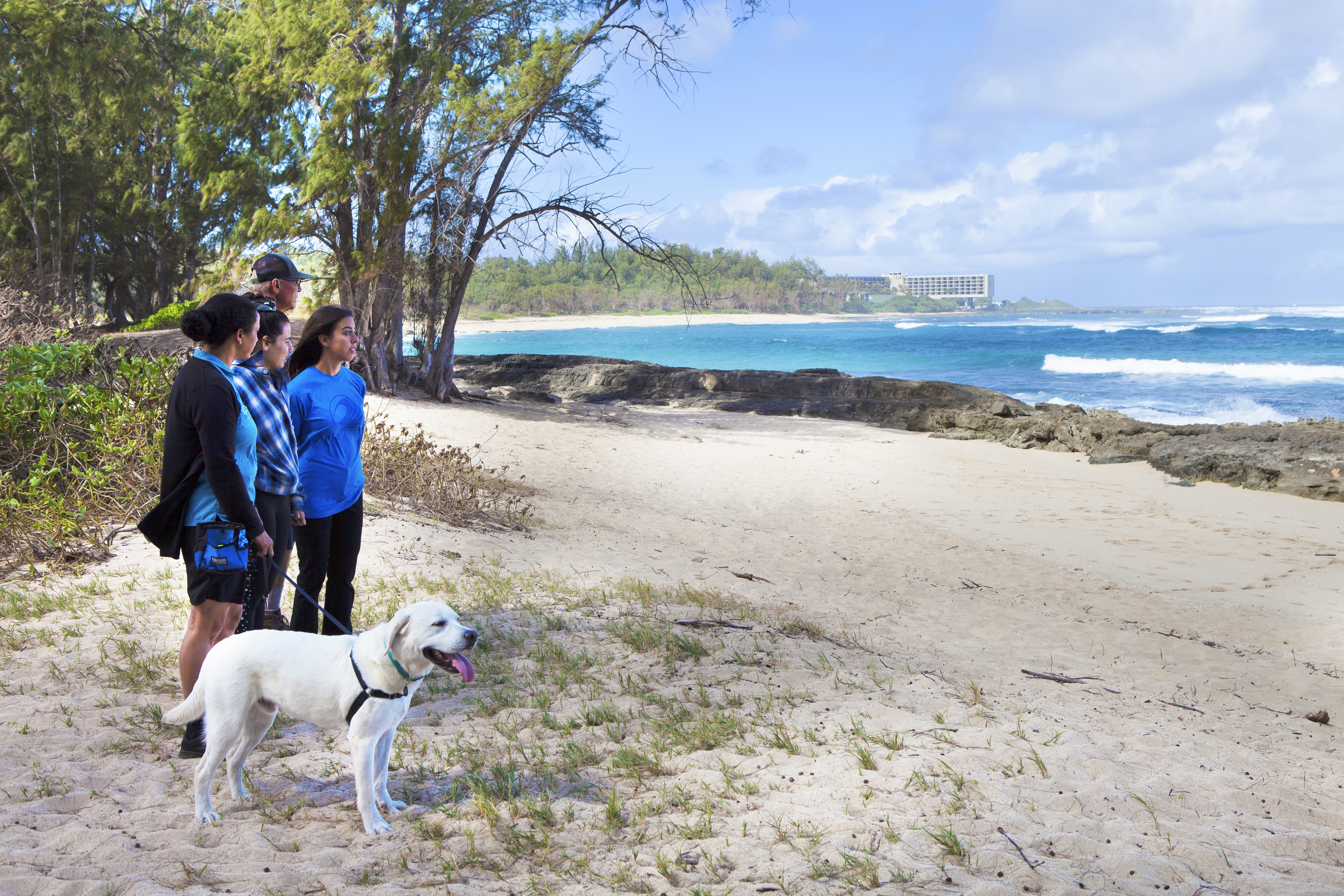 Hike with Pono