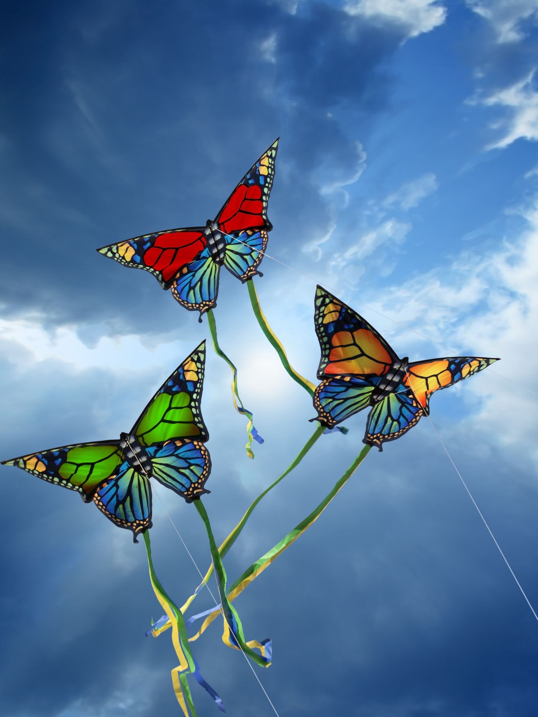 Butterfly Kite Sunset Bar