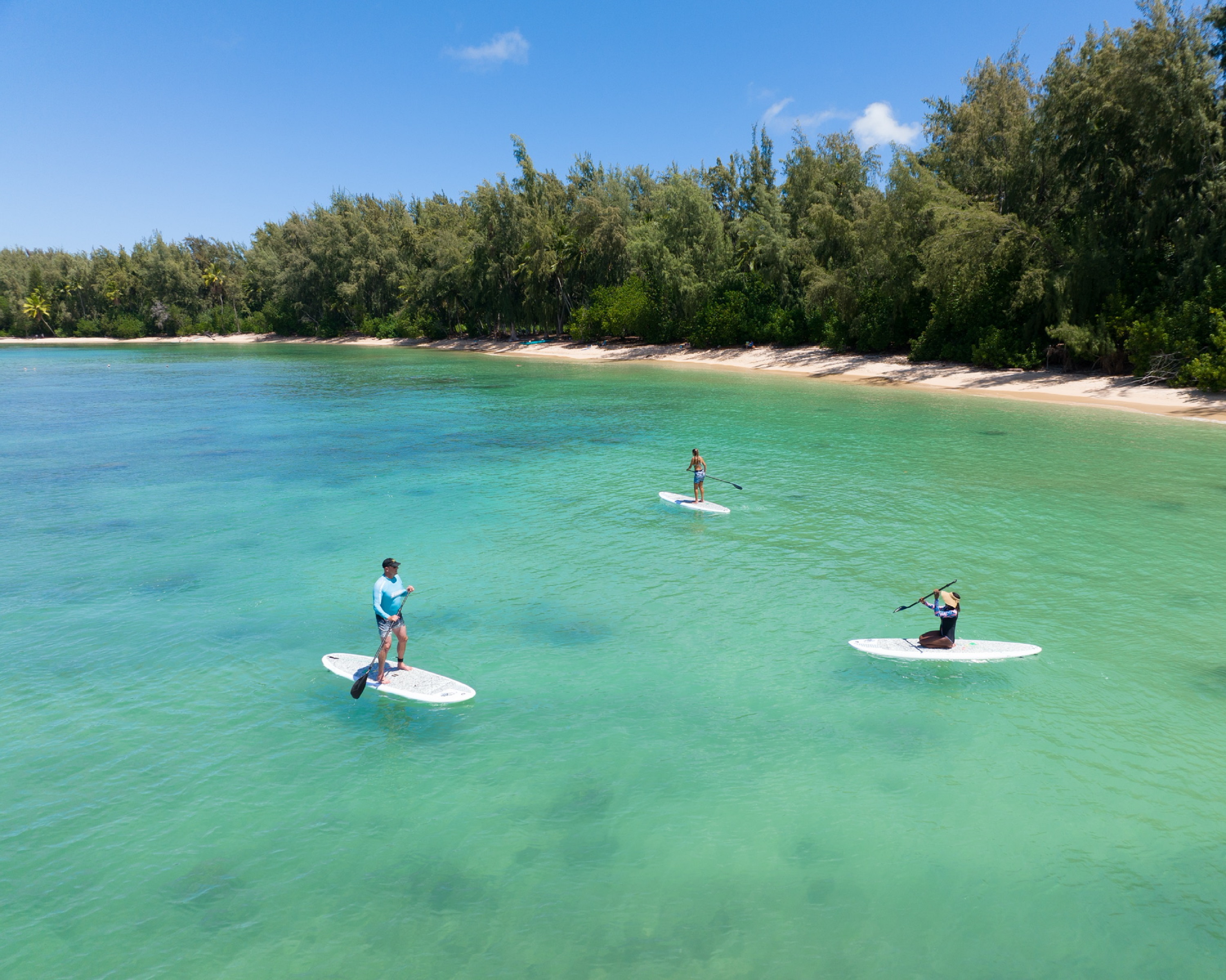 Paddleboarding near Turtle Island (specific location)