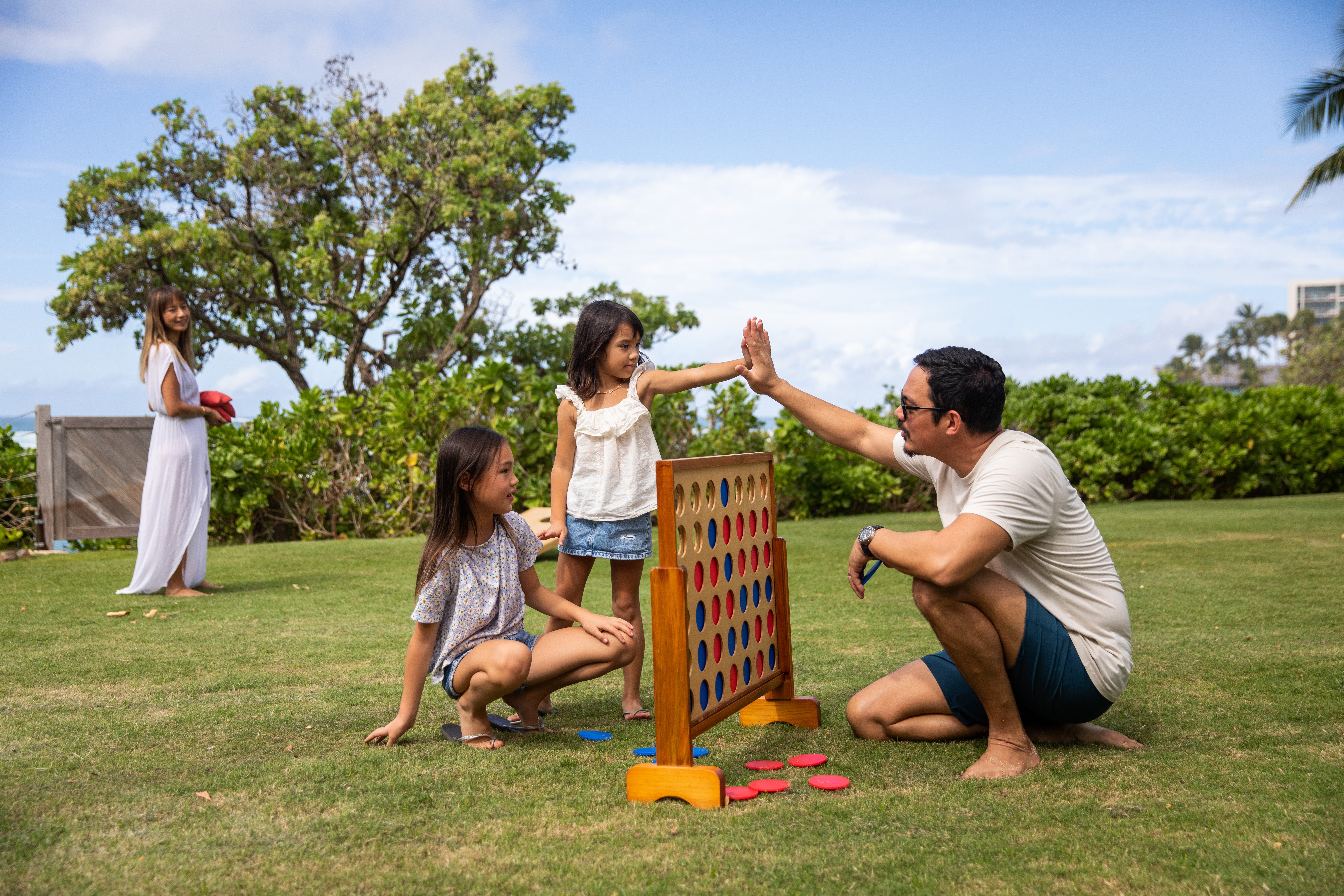 Family Lawn Games 