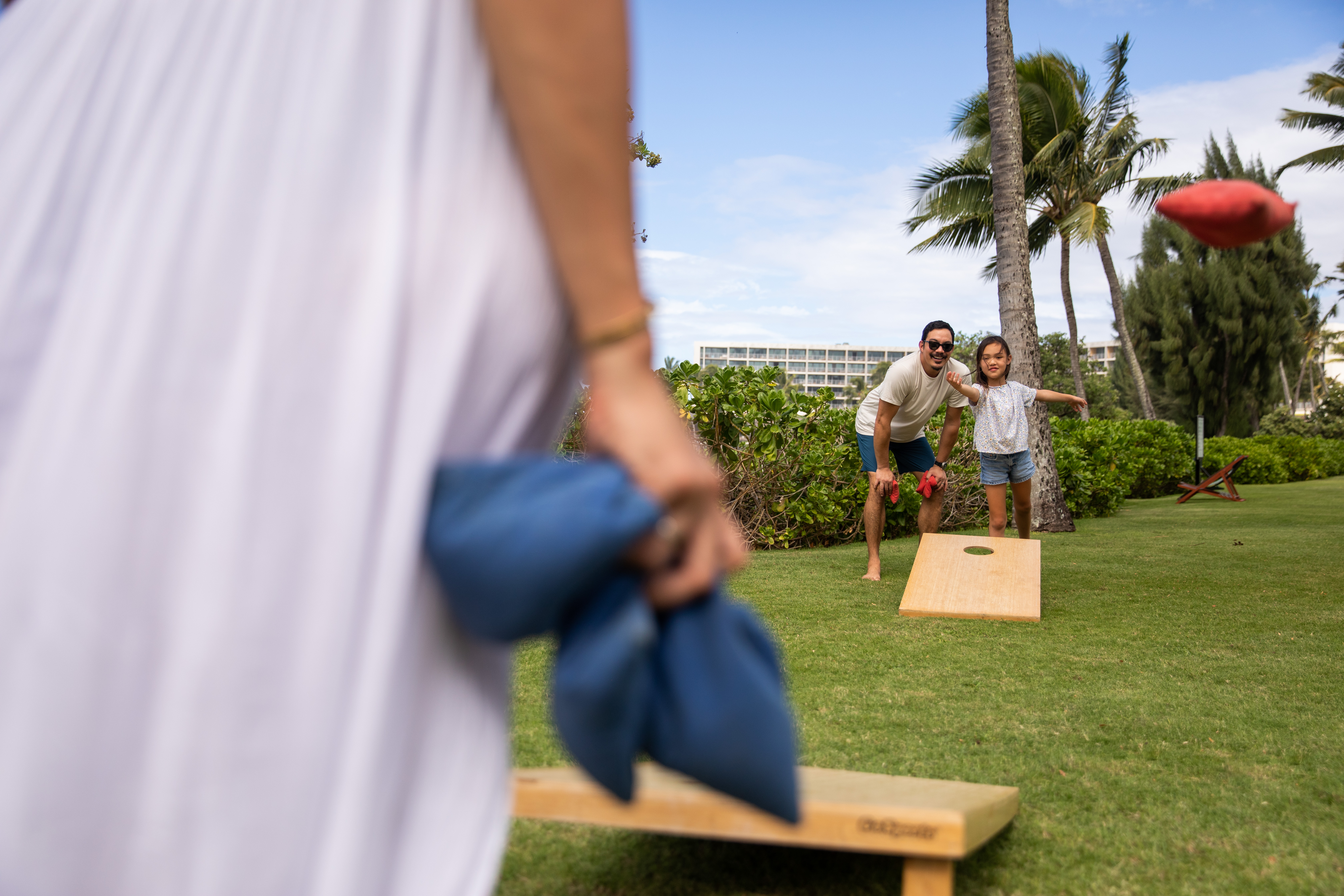 Family Lawn Games