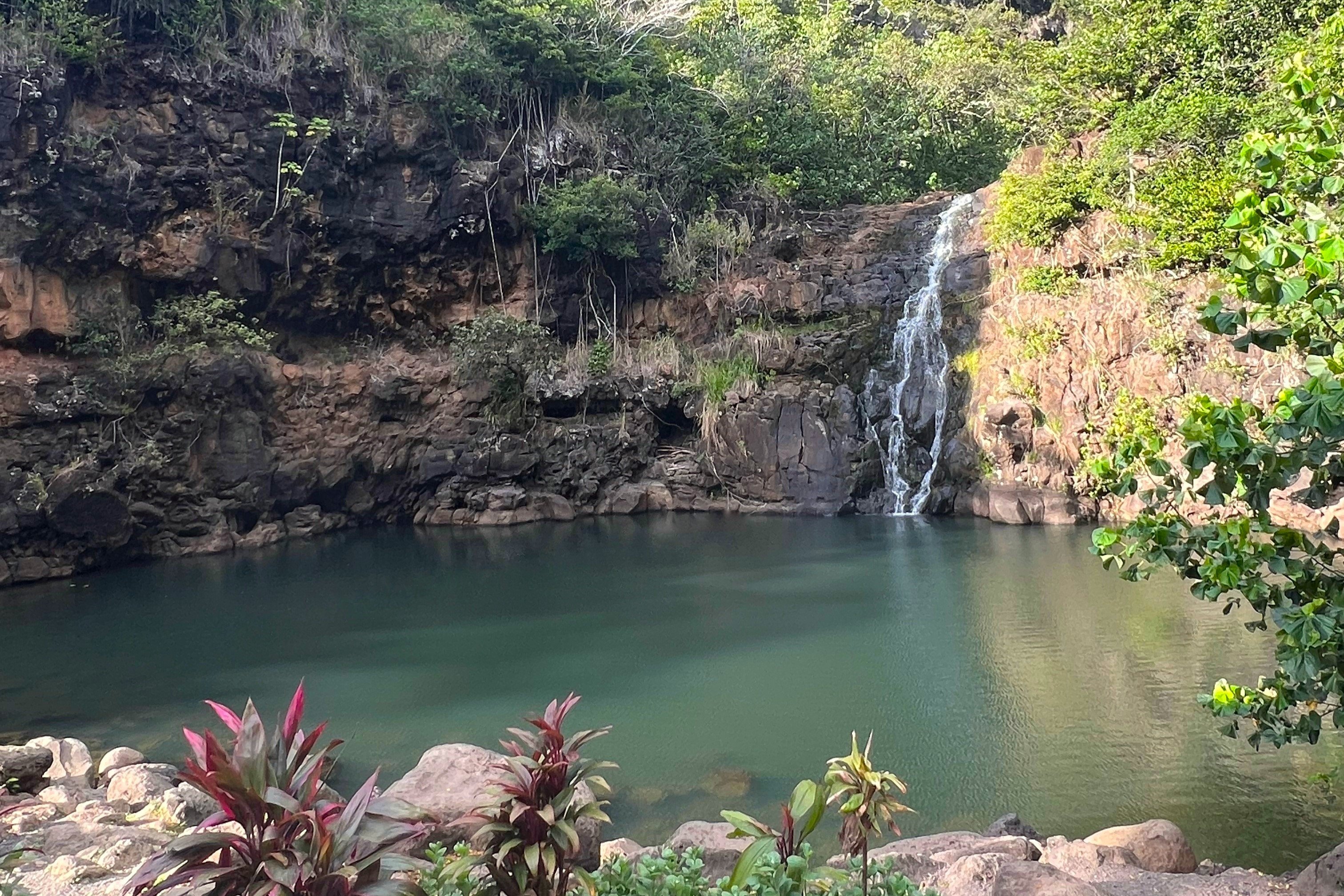 Waimea Waterfall