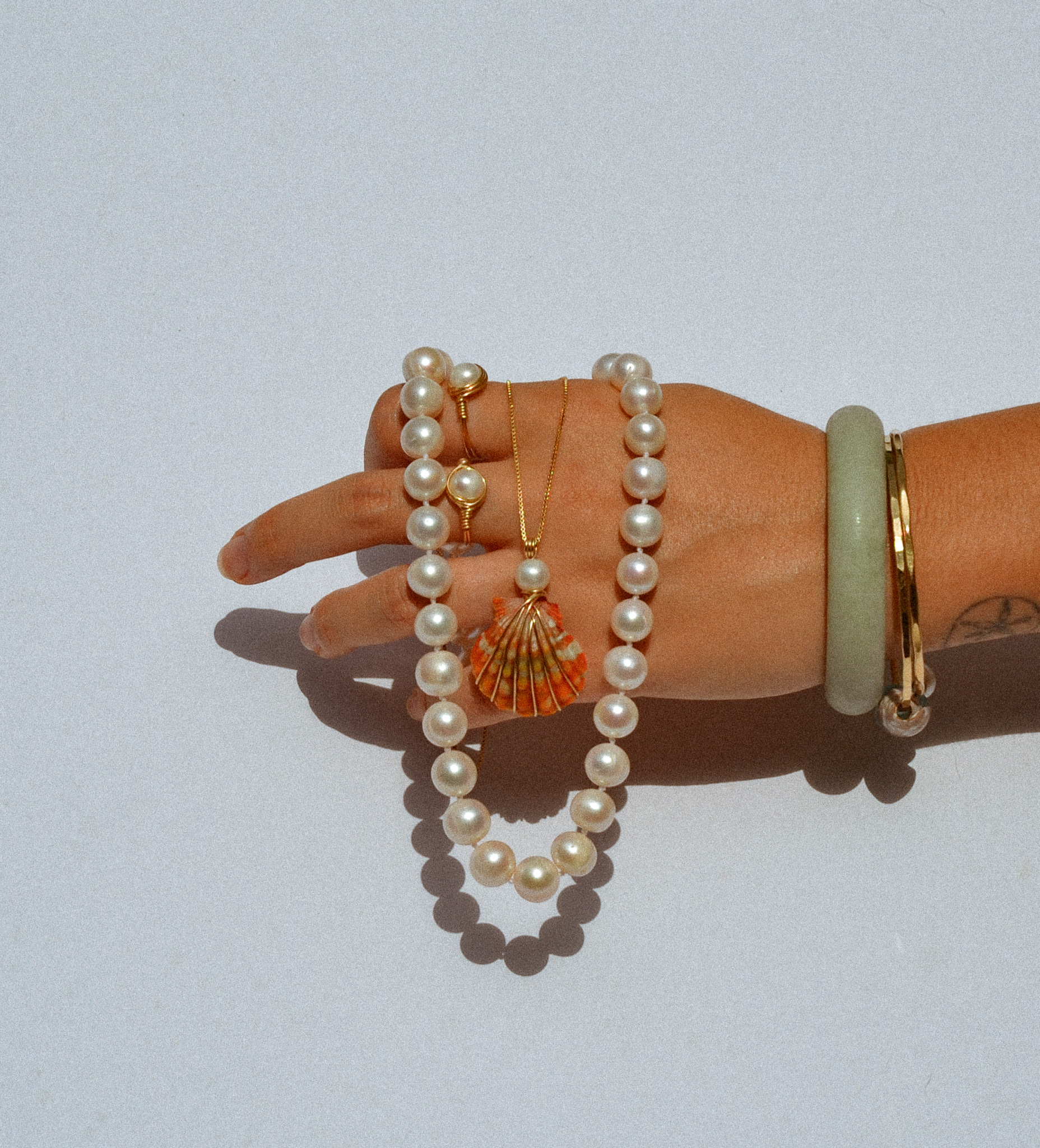 Seashell jewelry