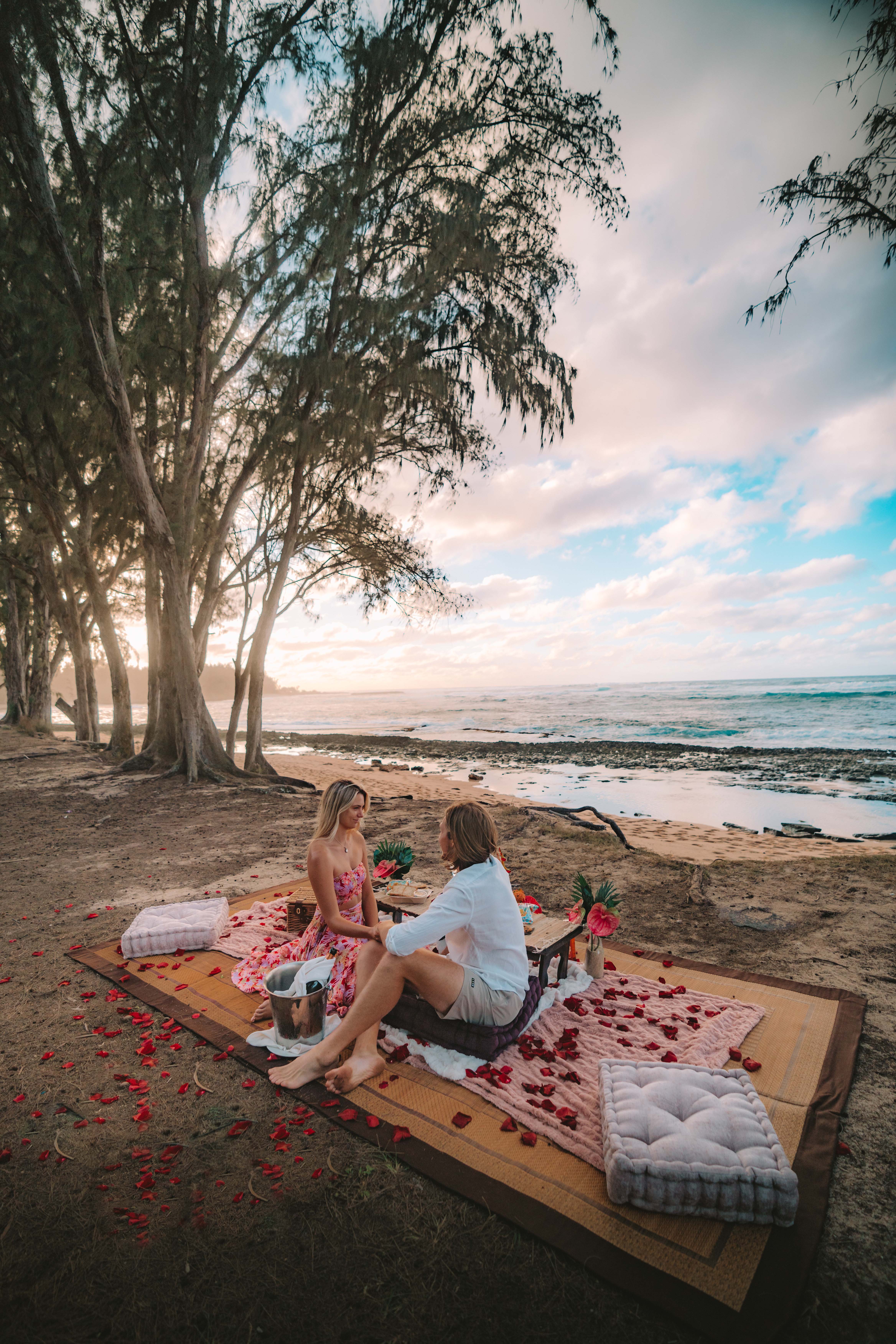 Beach Picnic