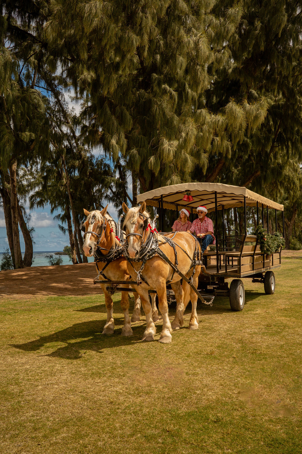 Starlit Wagon Ride