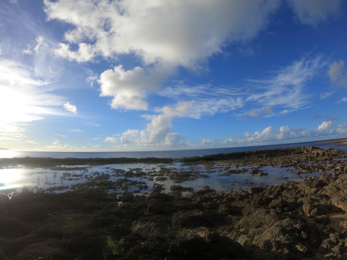 Shark's Cove in the North Shore, Oahu