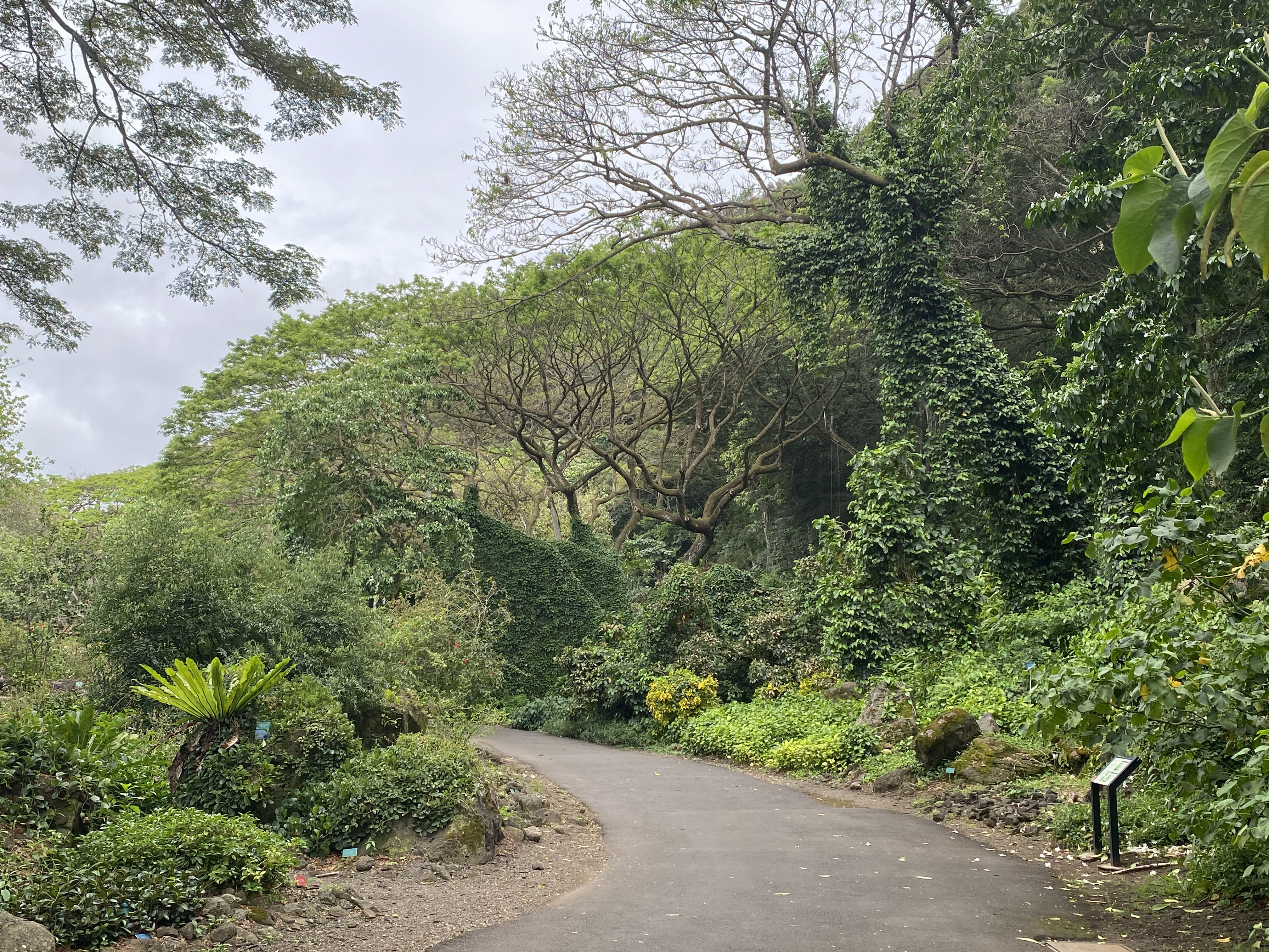 Waimea Valley