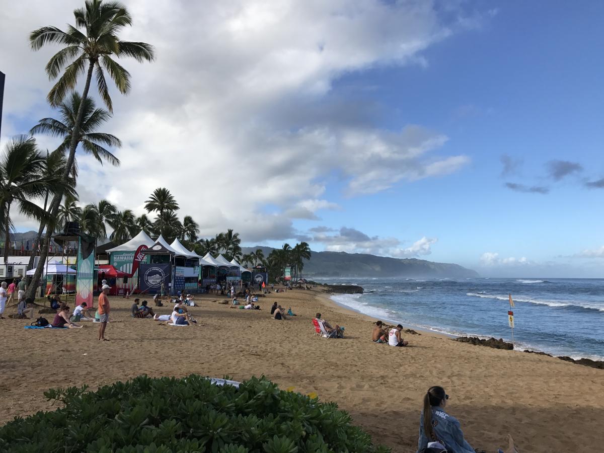 People sunbathing on a beach