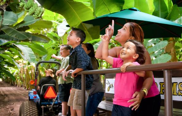 People visiting Kahuku Farms on Oahu