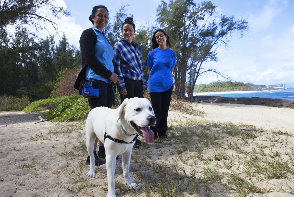 Three women on a beach with a white dog