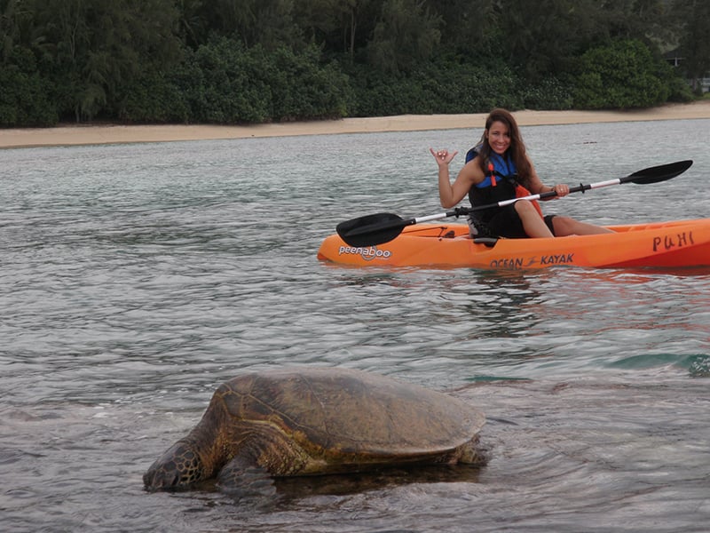 A woman in a kayak near a sea turtle