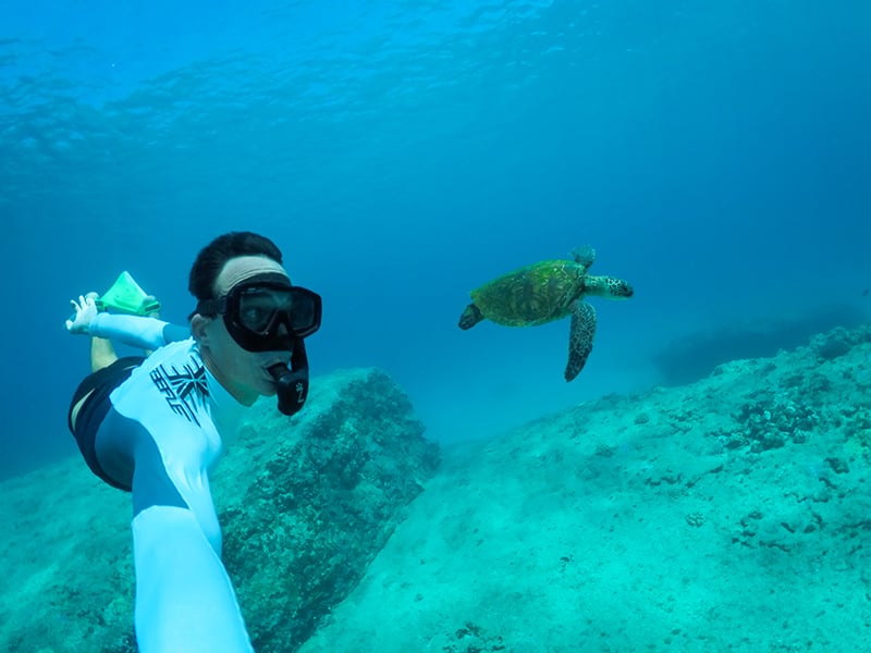 A man snorkling near a sea turtle
