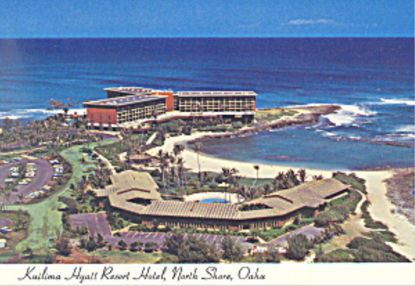 Tias Postcard Turtle Bay