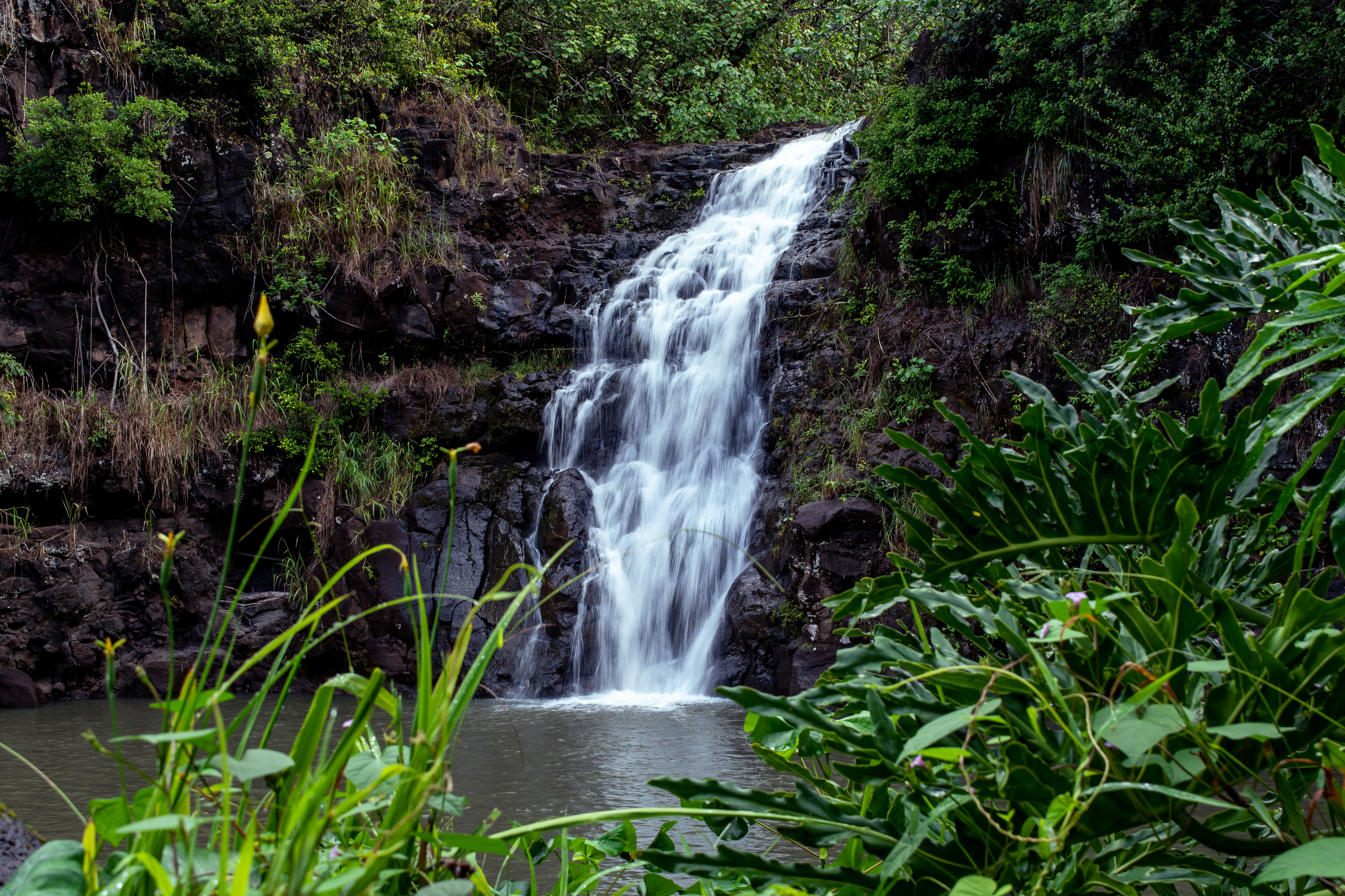 Waimea Valley Waterfall 