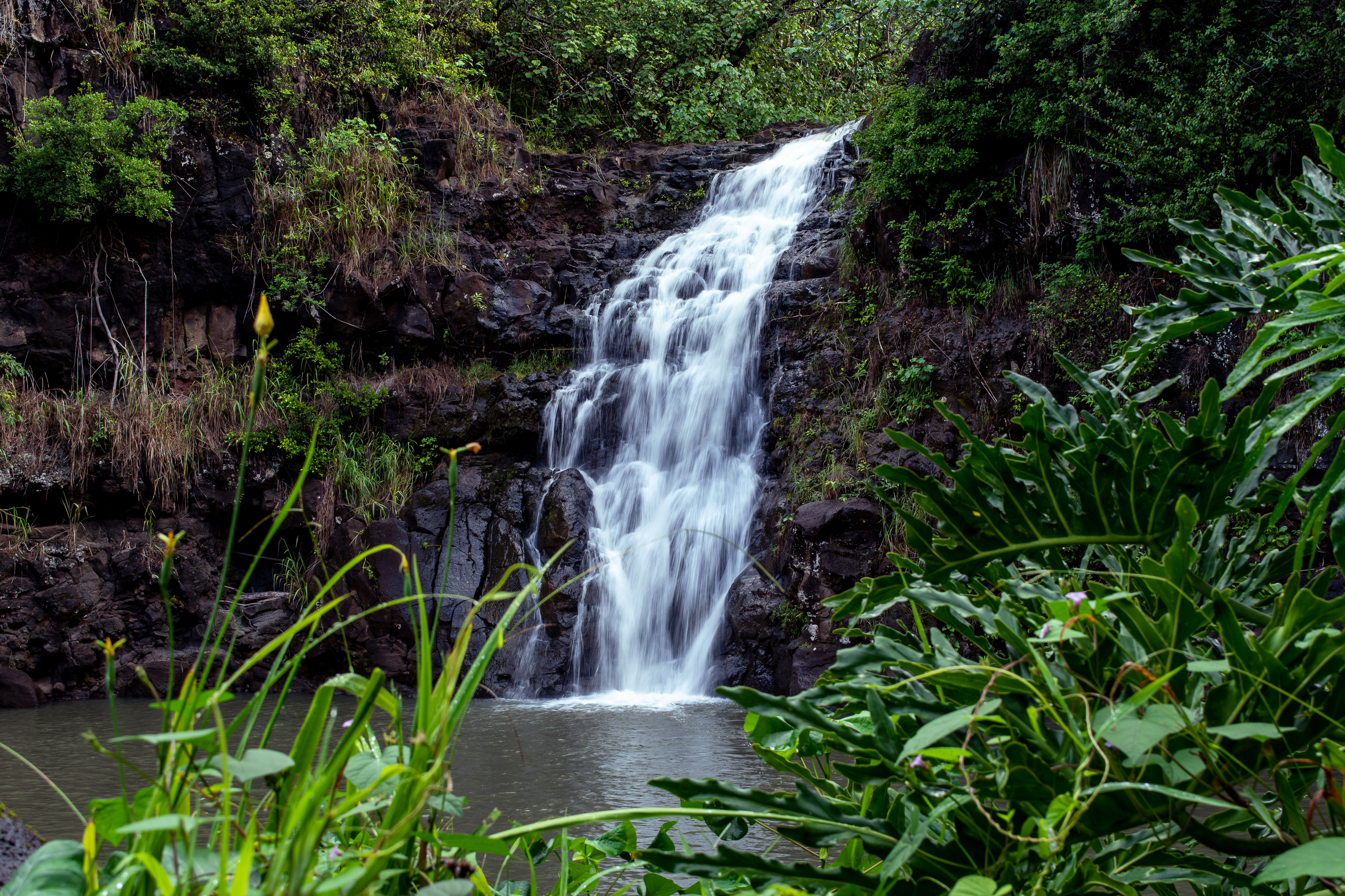 Waimea Valley Waterfall