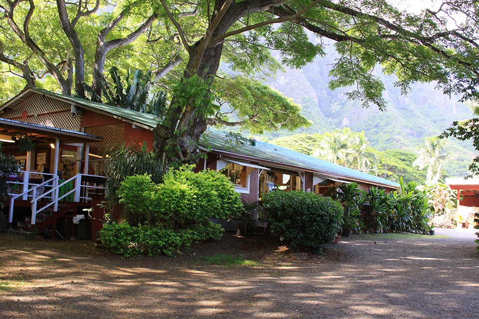 The Tropical Farms Macadamia Nut Farm on Oahu