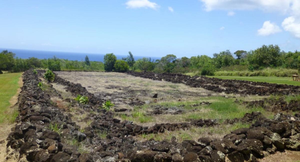 The Pu'u o Mahuka Heiau State Monument in Oahu