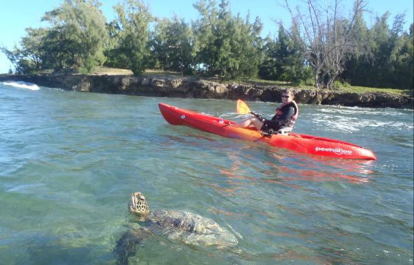 A person kayaking near a sea turtle
