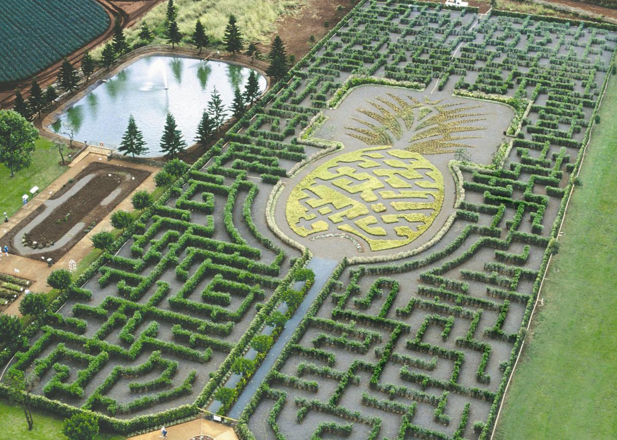 An aerial view of the hedge maze at the Dole plantation in Oahu