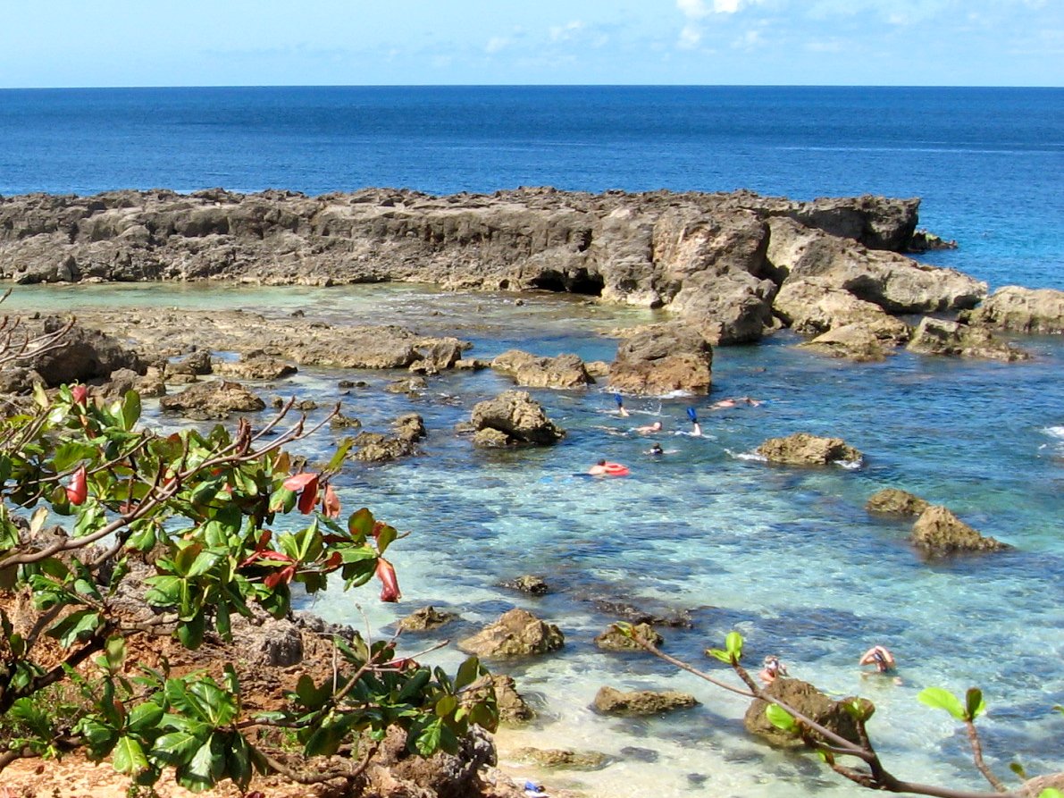 People snorkling at Sharks Cove, Turtle Bay Resort