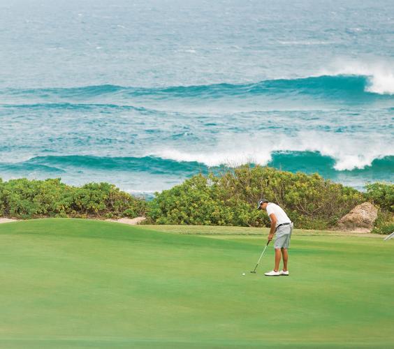Two Golfers on a lush green course overlooking the ocean