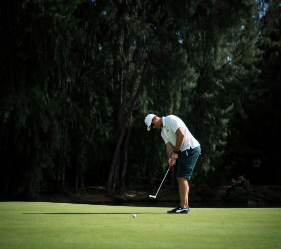 Golfer putting on the green