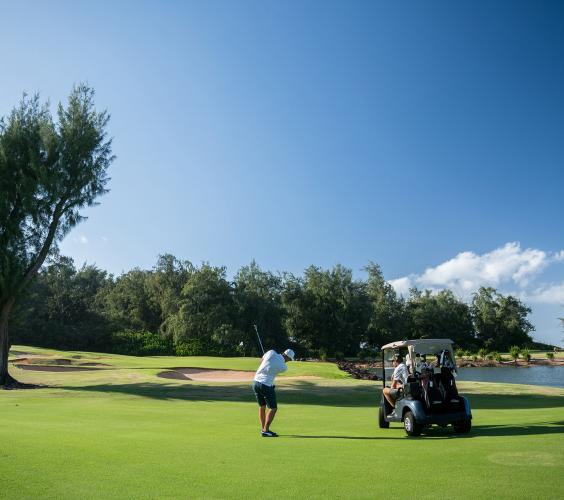 Golfers on Turtle Bay course green