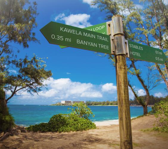 Trail Sign
