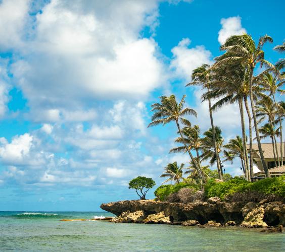 The Point Surf Break