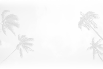 Palm trees blowing in the wind.