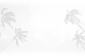 palm-trees-small