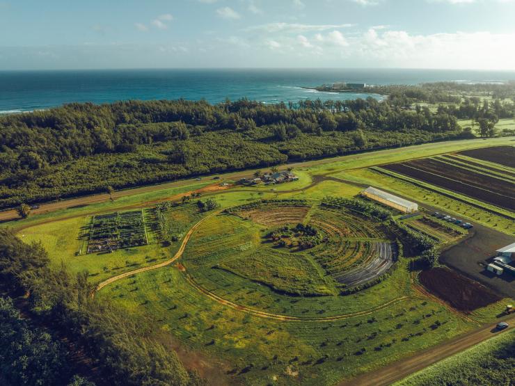 Kuilima Farm