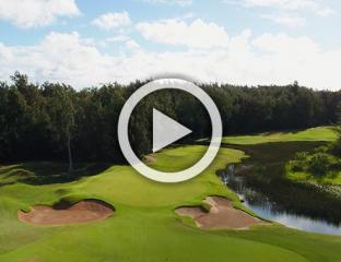 Arnold Palmer Course Hole 10 green