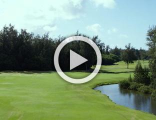 Arnold Palmer Course Hole 11 green