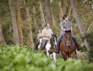 group on a trail ride