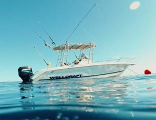 Fishing Charter