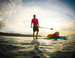 paddle boarder