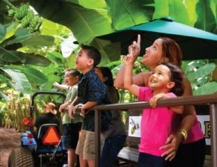 family on a tropical tour