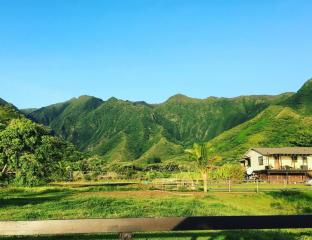 view of green rolling hills