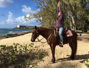 woman doing yoga on a horse