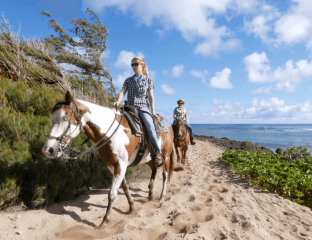 horse trail rides