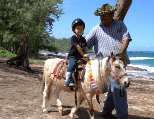 child riding a pony on the beach