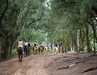 Horseback Trail Rides