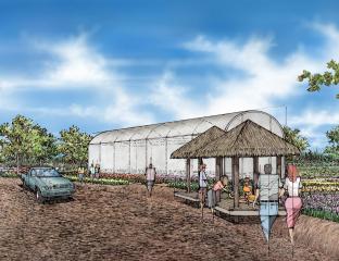 Kuilima Farm