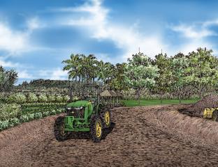 Kuilima Farm